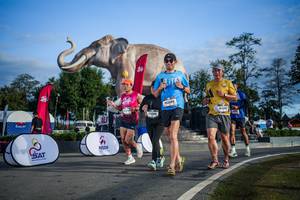 BIB: 
                            <button type="button" onclick="openModal(26541999)" class="btn btn-primary btn-sm float-right btn-popup" data-toggle="modal" data-target=".modal-high-quality">
                        <i class="fas fa-shopping-cart"></i> Add to Cart
                    </button>
                                            <button type="button" onclick="isThisMe(26541999, true)" class="btn btn-success btn-sm float-right btn-popup btn-isme hidden" data-toggle="tooltip" data-placement="bottom" title="นี่คือรูปของคุณใช่ไหม คลิกที่นี่เพื่อเอาเข้าอัลบั้ม">
                        <i class="fas fa-plus"></i> Add to album
                    </button>
                    <button type="button" onclick="isThisMe(26541999, false)" class="btn btn-warning btn-sm float-right btn-popup btn-isnotme hidden">
                        <i class="fas fa-ban"></i> Remove from album
                    </button>